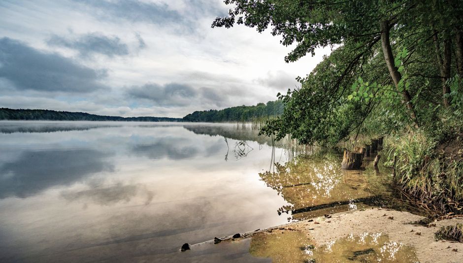 A Practical Take on Wellness Without Perfectionism, in Plain Language