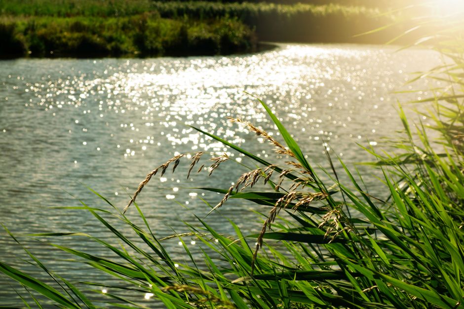 Building Positive Daily Routines: Common Mistakes to Avoid