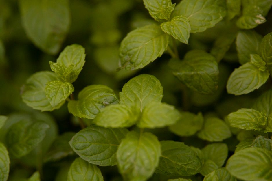 How to Stay Consistent With Seasonal Changes And How The Body Responds, on a Normal Week