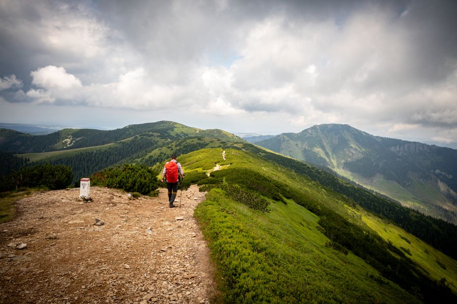Small Wins With A Balanced Approach To Wellness, Step by Step
