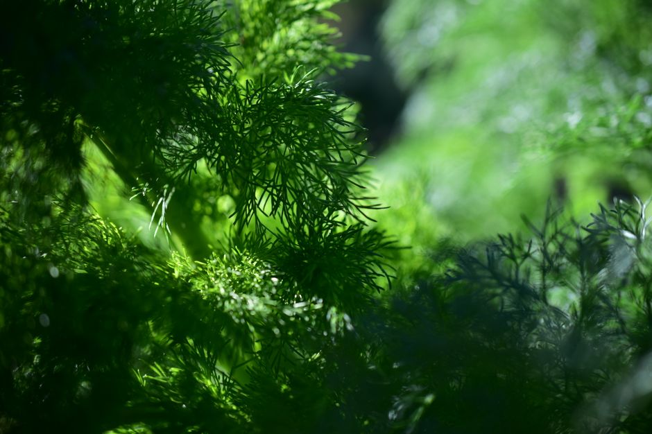 Small Wins With Seasonal Changes And How The Body Responds, the Honest Way