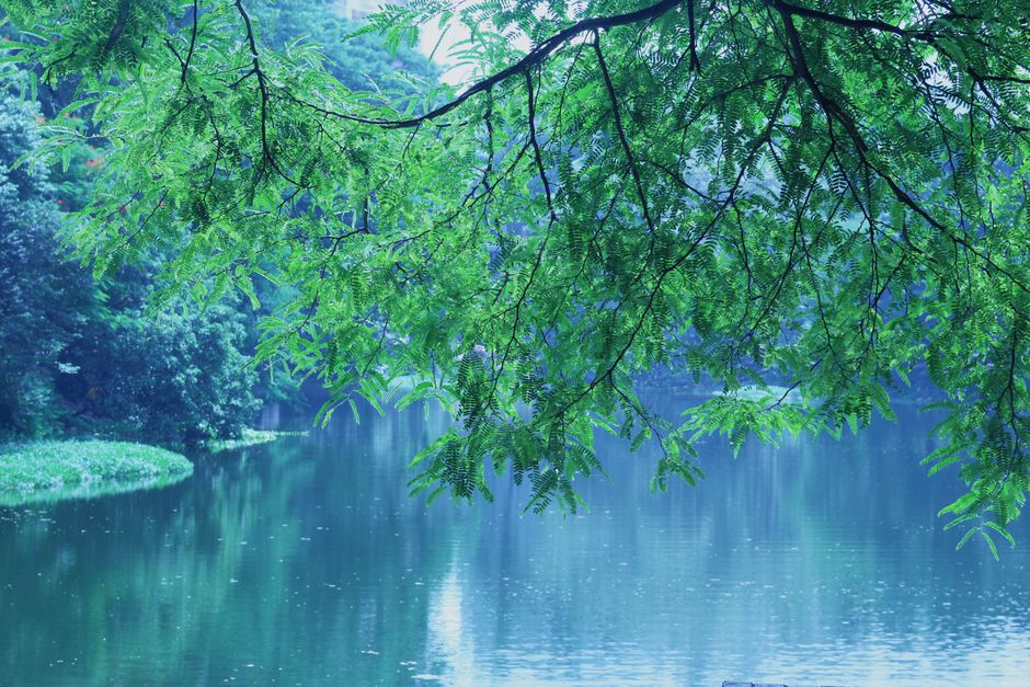 The Truth About Stress: Signal, Response And Recovery, Explained Simply