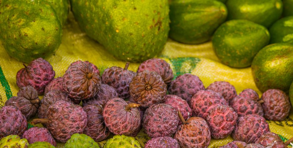 Understanding Wellness For Everyday Life in Plain Terms, Without Overthinking It