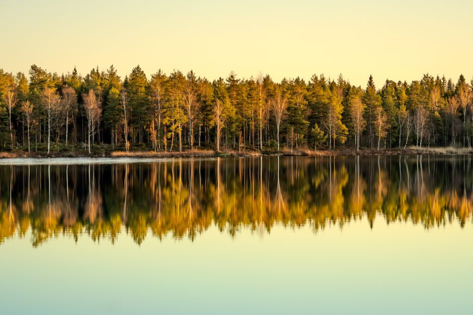 What Nobody Tells You About The Long View Of Well-Being, on a Normal Week