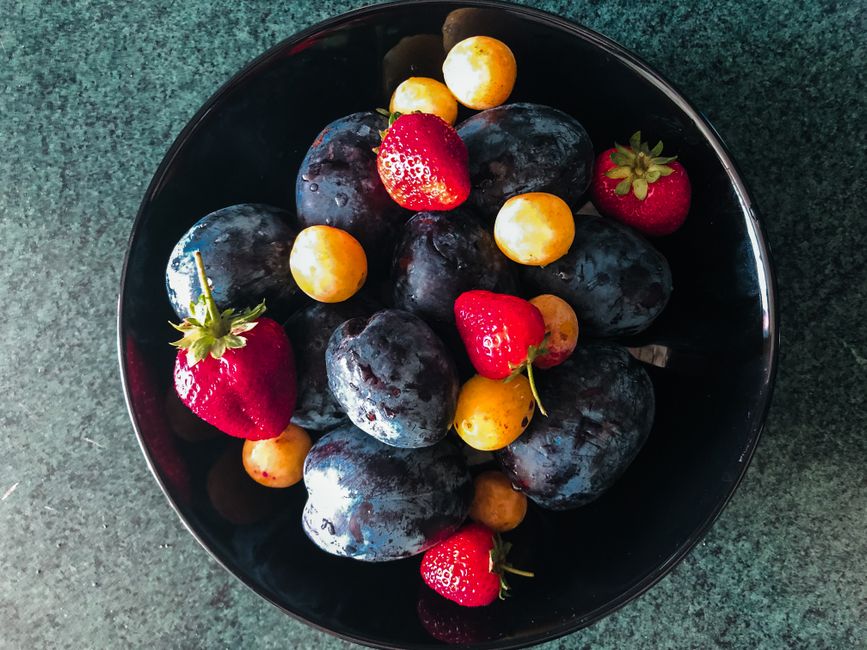 Why Wellness Beyond The Individual Is Worth Your Attention, Starting Today